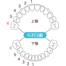 1729SS-5.png